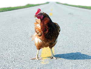 Killing the ‘Chicken Tax’ on Trucks Will Promote Innovation