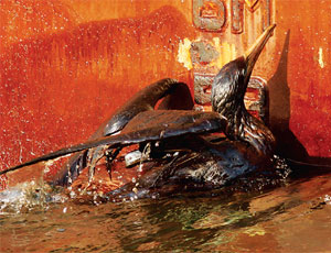 The Gulf Oil-Spill Disaster Is Engineering’s Shame 52/49