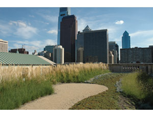 Green top Natural rooftop plantings at Philadelphia’s Central Library have reduced stormwater runoff entering the city’s combined-sewer system.